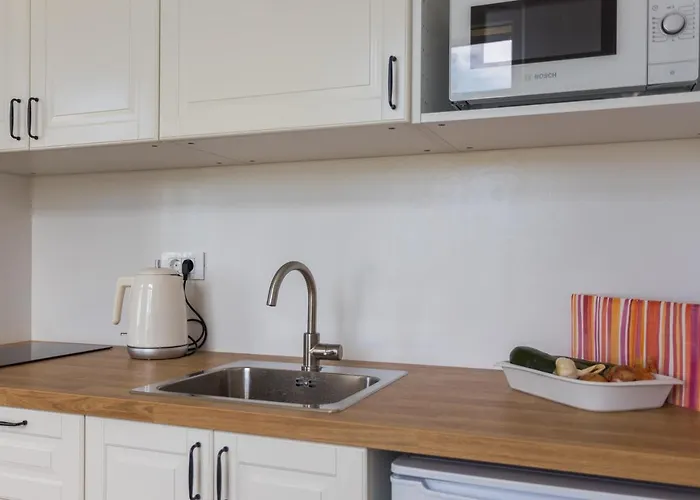 Bu2 Pula Studio Apartment